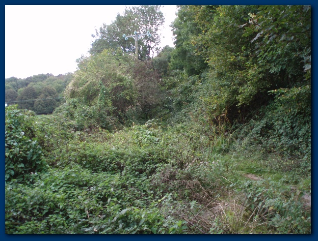 600x449 pixels (180K)